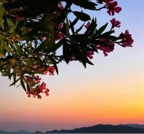 Villa Sunset Hisarönü