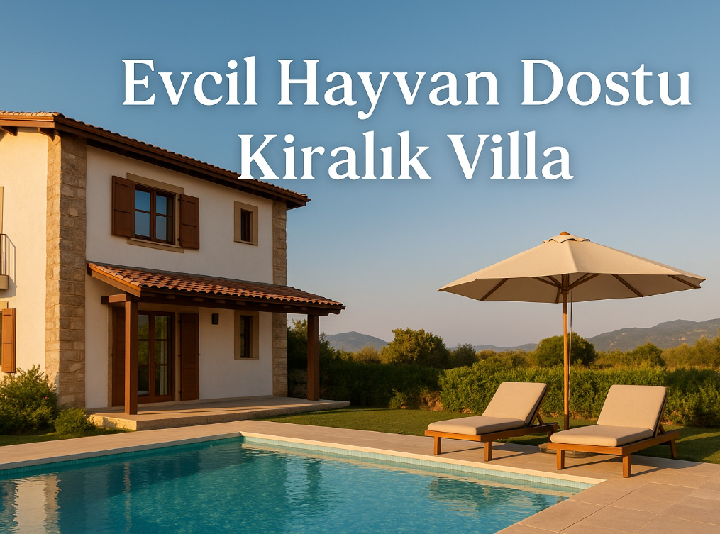 Villa Runner İle Evcil Hayvan Dostu Kiralık Villa
